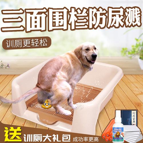 用什么东西教狗去厕所拉屎