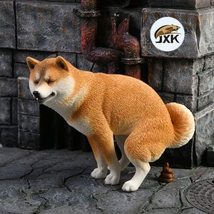 柴犬训练便便方法