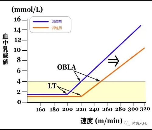 运动强度的递增方式