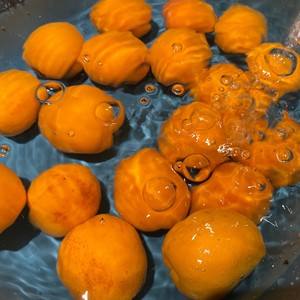 杏子的做法