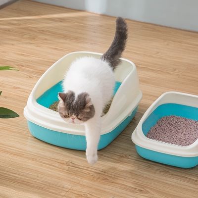 怎么训练幼猫用猫砂