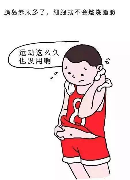 为什么运动体重不减