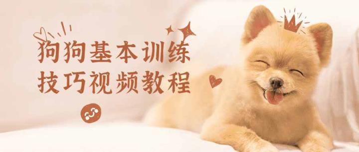 训练狗狗 秘籍