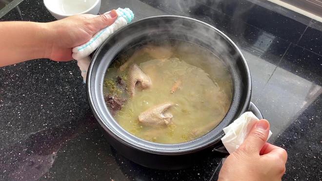 老鸽汤的做法