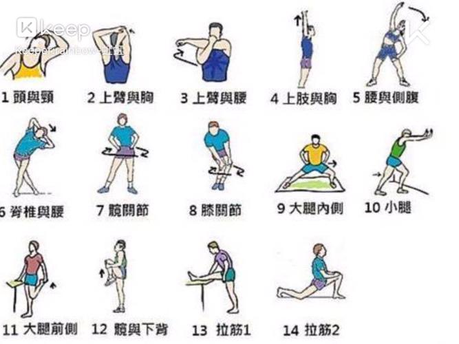 健身后拉伸运动图解