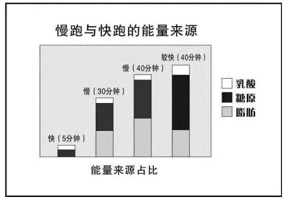 运动消耗脂肪的反应