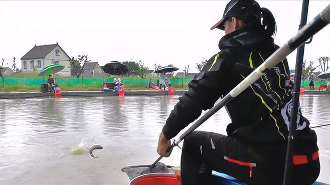 怎样训练进窝视频下载