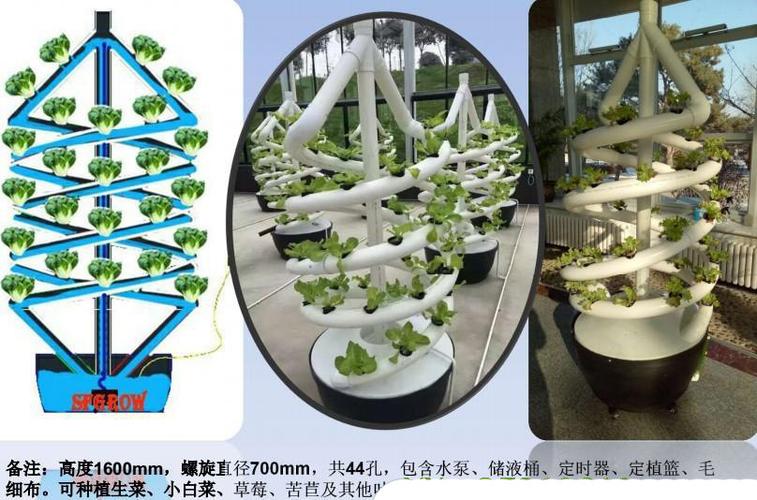 无土栽培水培技术