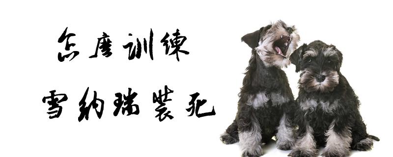 怎么训练装死
