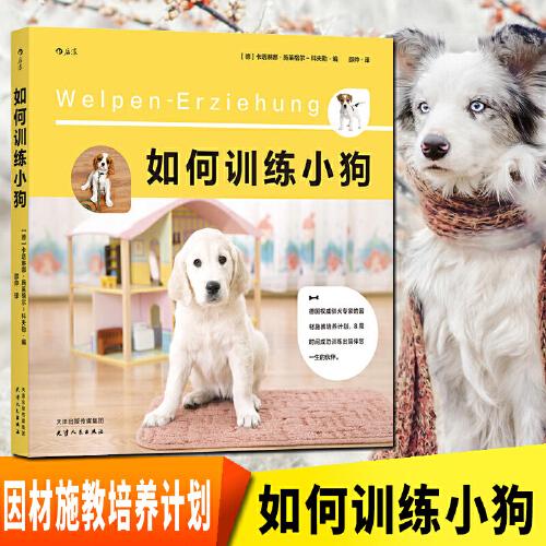 小狗的训练视频教程