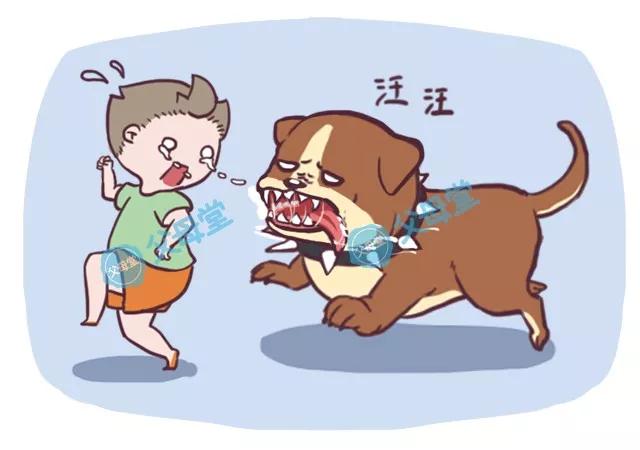 教狗狗不要咬人和东西