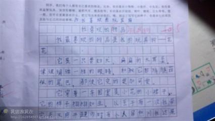 写重庆猎犬吃东西的作文