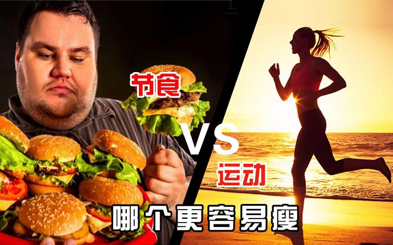 七天节食运动