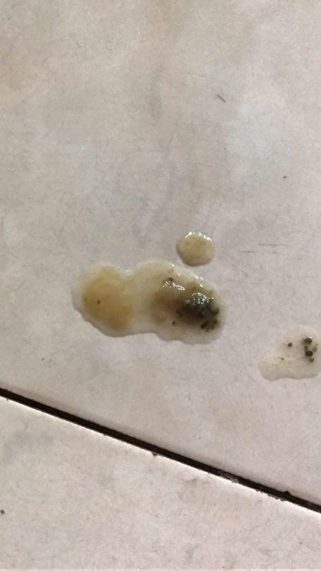 小狗拉稀也不吃东西怎么办啊