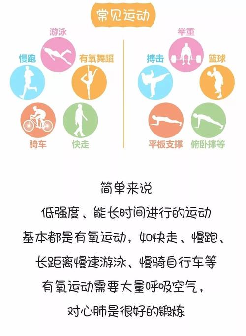 无器械的无氧运动