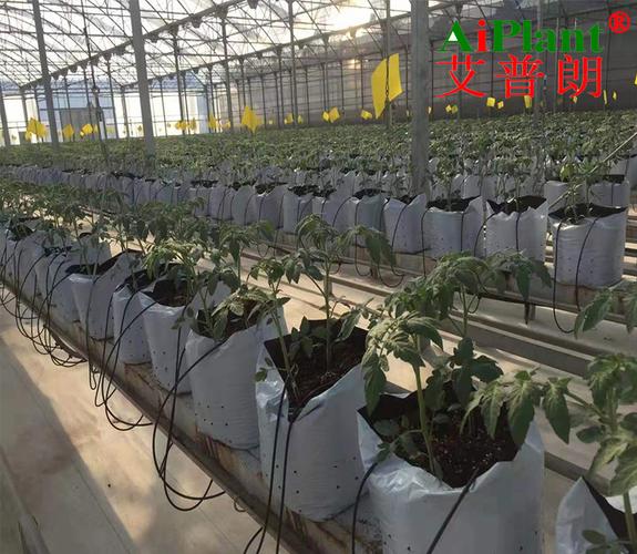 无土栽培基质有哪些