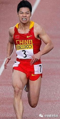短跑运动员的肌肉训练