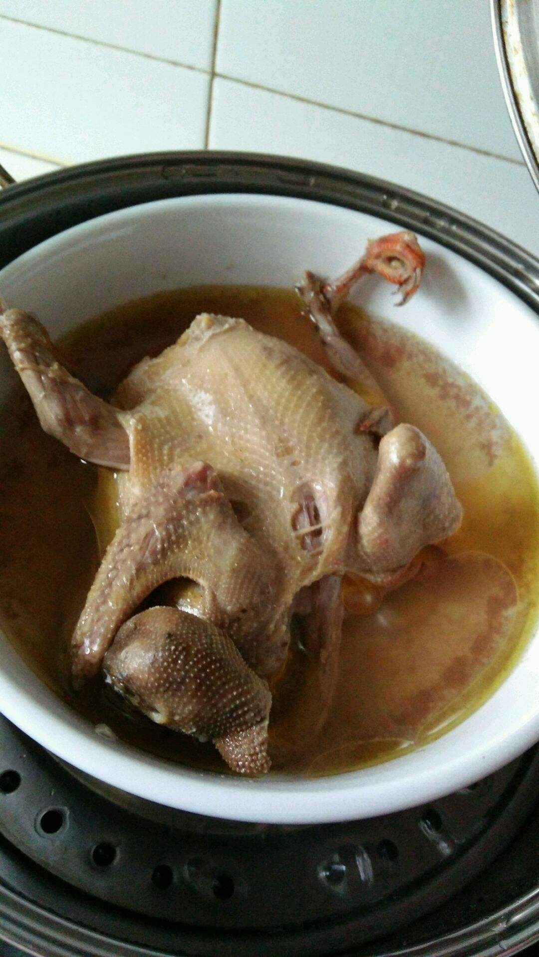 鸽子汤做法