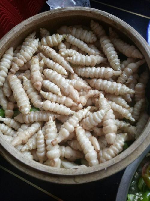 螺丝菜的家常做法