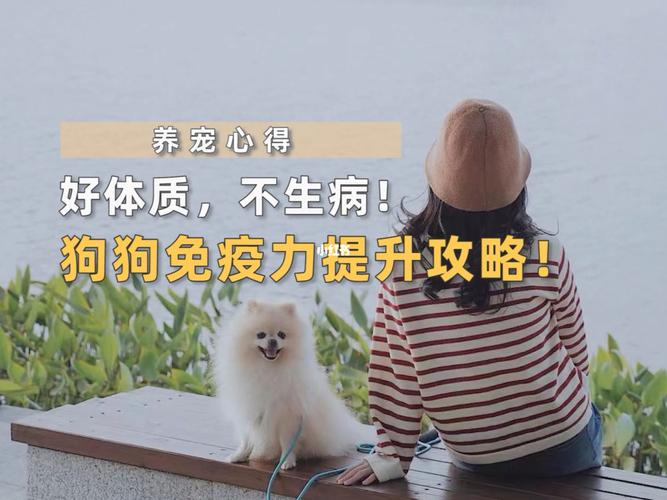 提高幼犬免疫力的东西