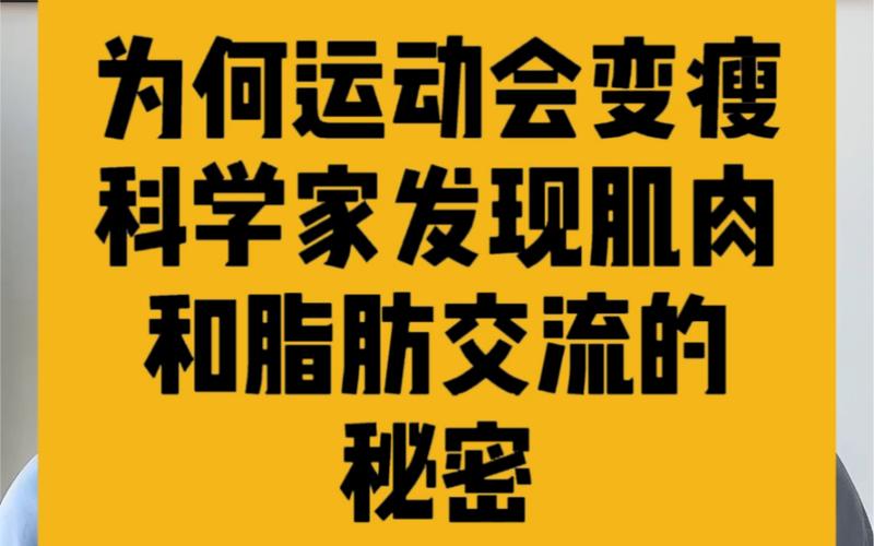运动把脂肪变成肌肉怎么办