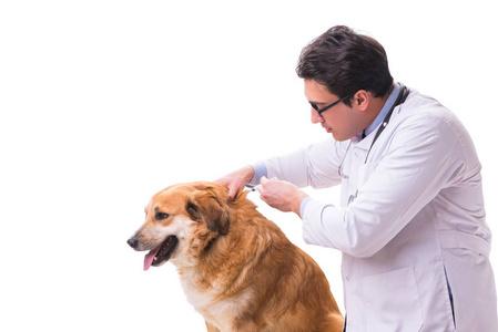 买狗狗的时候 检查什么东西