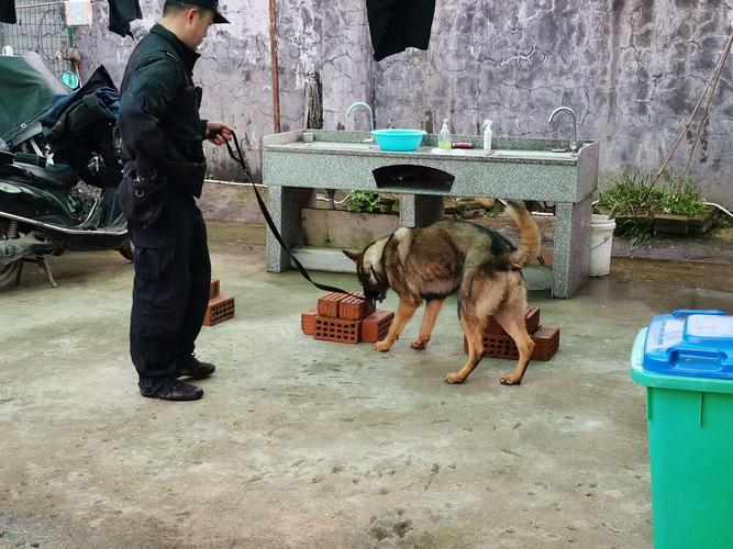 广州市警犬训练基地