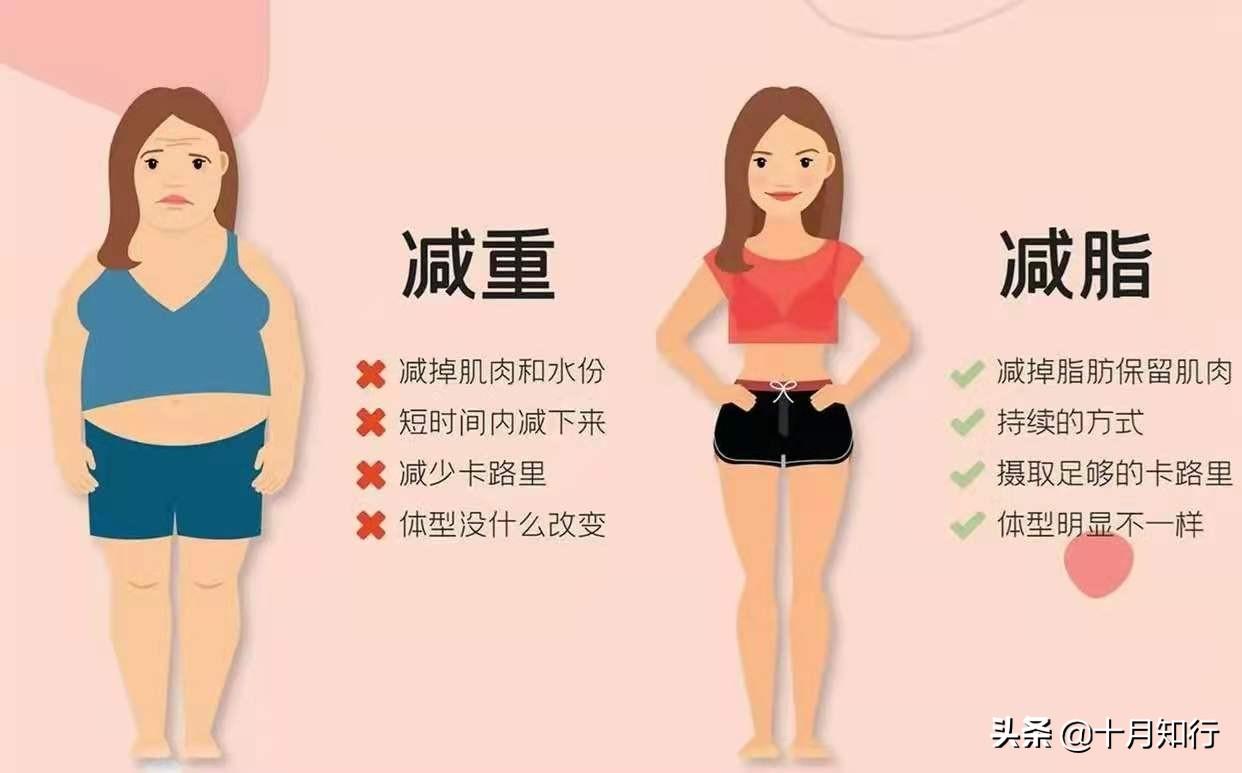 减肥运动效果好