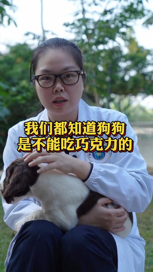 训练狗不许吃