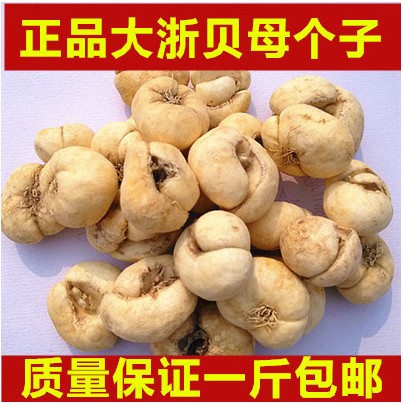 象贝做法