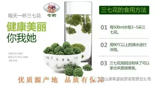药三七养护过程应注意事项