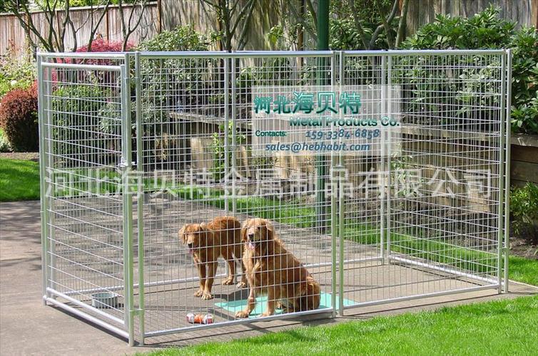 训练狗狗在笼子