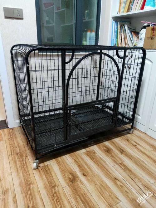 训练狗狗拉屎笼子