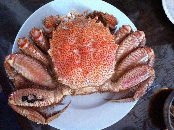红毛蟹做法