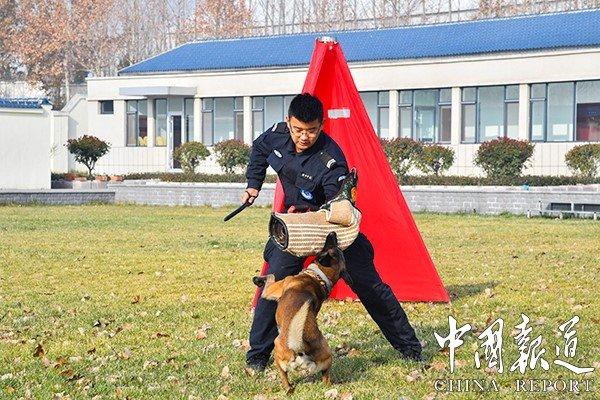 警犬大队训练人