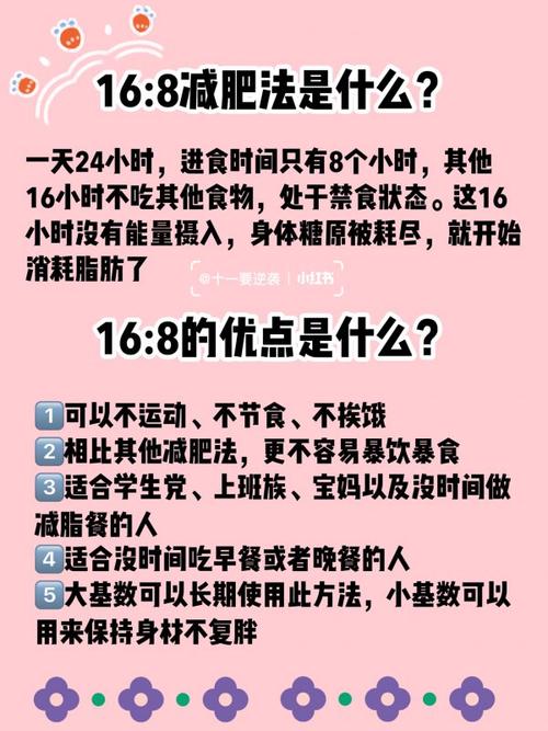 不运动 减肥