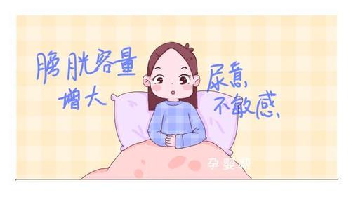 生完孩子尿不出来怎么办