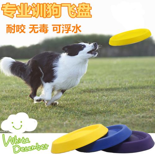 如果训练狗接飞碟