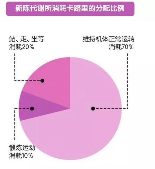 哪些运动促进新陈代谢