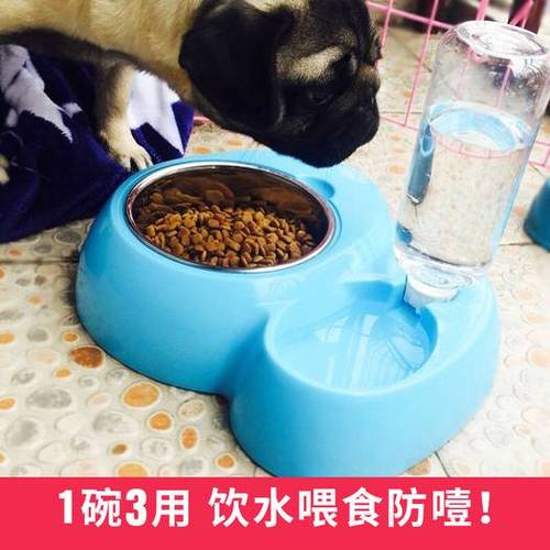 如何训练小狗从食盆吃饭