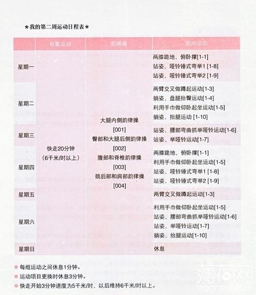 减肥的运动计划表