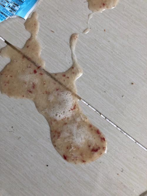 狗狗吃东西吐拉稀
