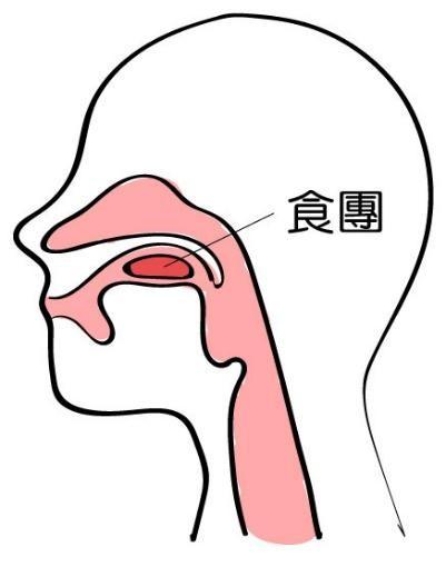 怎样做能把吃进去的东西吐出来