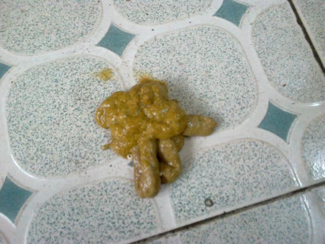 狗狗吃东西正常 粑粑正常