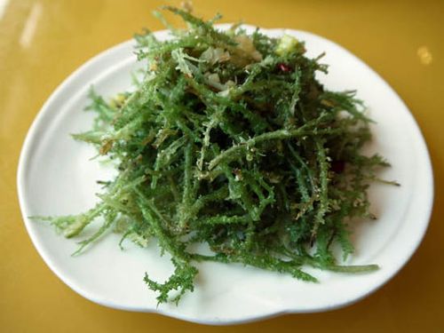 青海鹿角菜做法