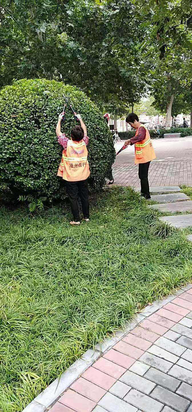 夏季园林修剪注意事项