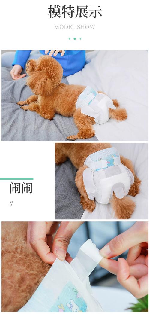 训练狗狗小便尿片
