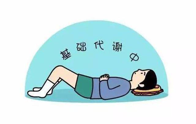 运动基础代谢的变化