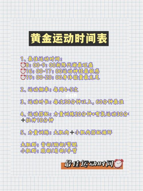 一天快速减肥运动