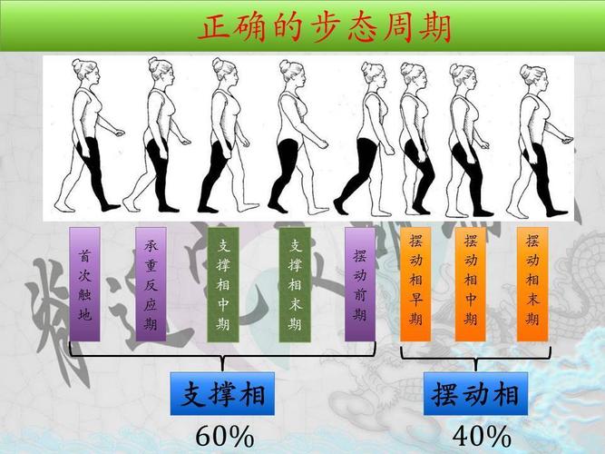 协同收缩运动